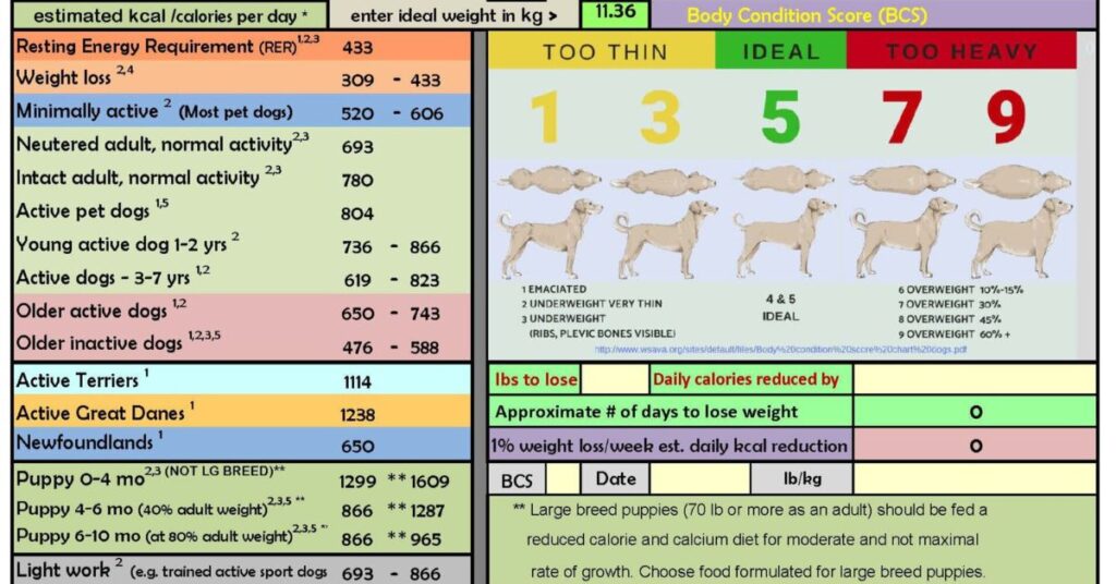 Dog Calorie Calculator: Keep Your Pup's Waistline in Check